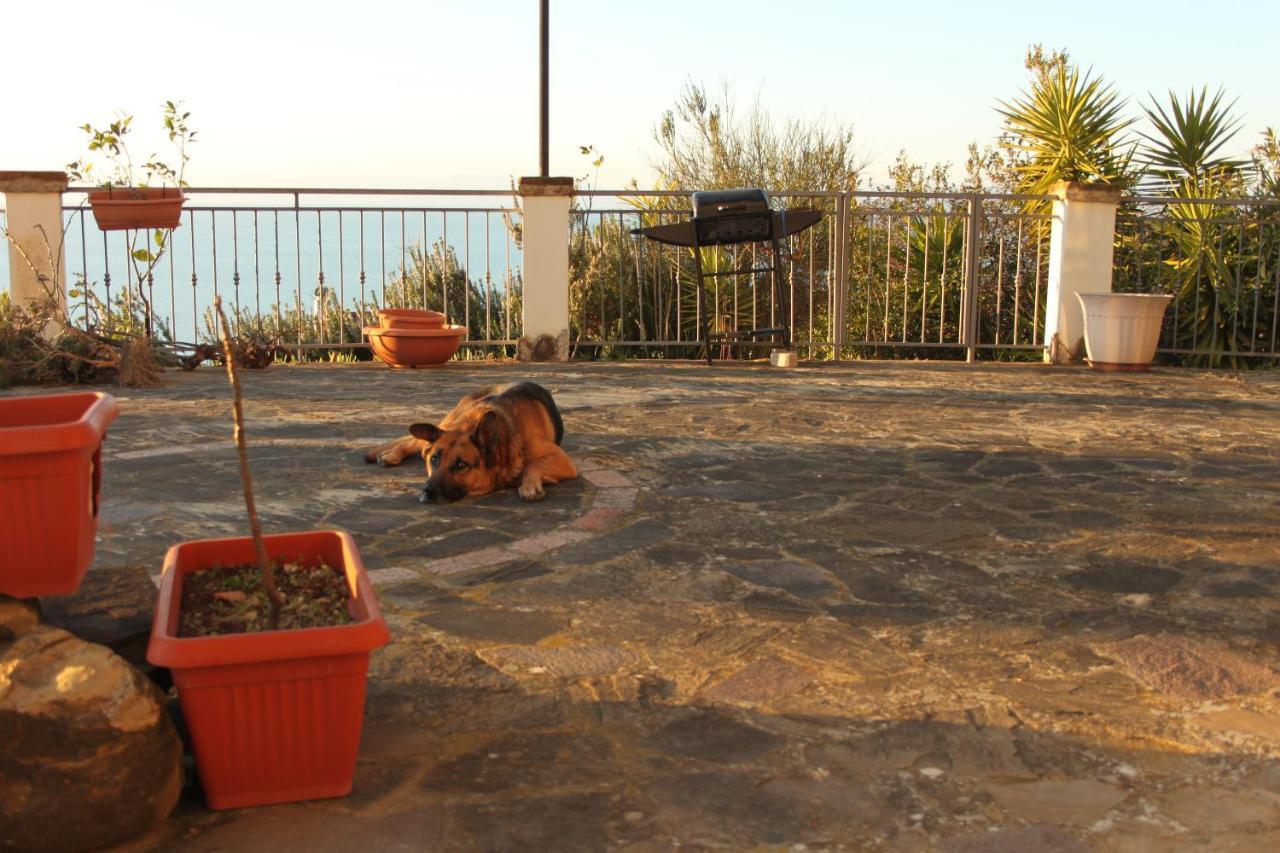 Villa Malandrino Guest House Agropoli Extérieur photo