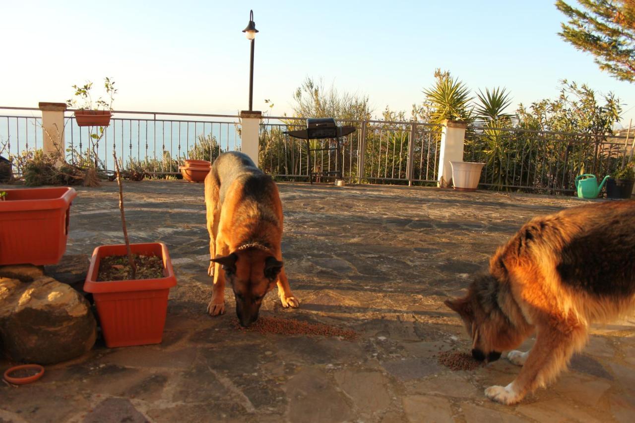 Villa Malandrino Guest House Agropoli Extérieur photo